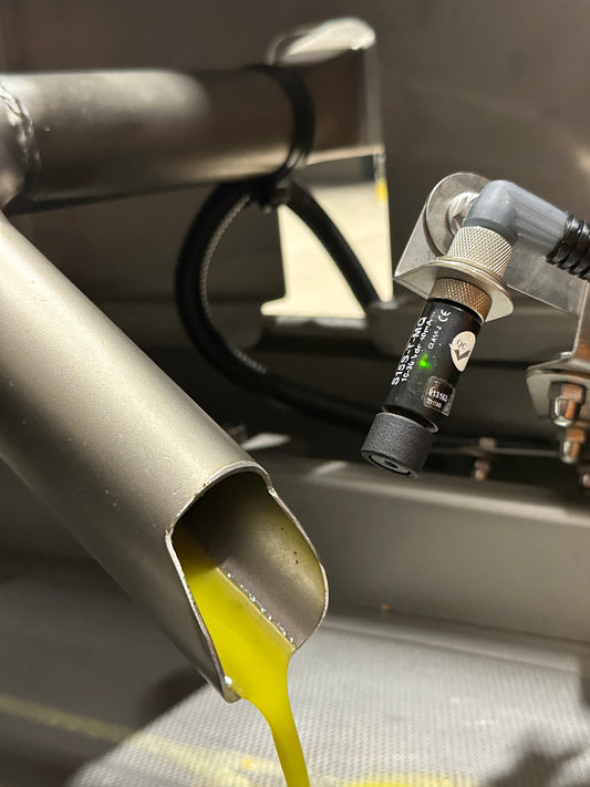 All About Cold-Pressed Olive Oil: What It Is and Why It Matters